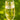 Champagne toasting glass on a table. The etched design is centered on the glass. The design is of a bouquet of flowers and beneath it is "Alex" and beneath that is "& Madeline" and beneath that is "Livingston". So, three lines of text: first name, send name and a last name.