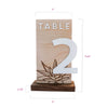 Desert Wedding Table Numbers, Design: DESERT
